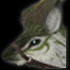 Aurora's Horn (30D)